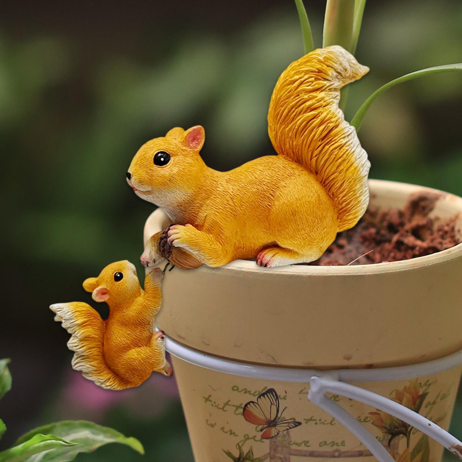 Garden Squirrel Ornament Resin - Bonsai Garden Art recension och pris
