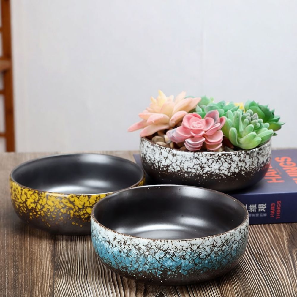 Large Mouth Ceramic Succulent  - Bonsai Garden Art recension och pris